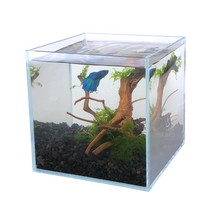 Load image into Gallery viewer, Glass Tank 20cm
