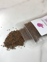 Load image into Gallery viewer, Active Probiotic Fish Food 40g