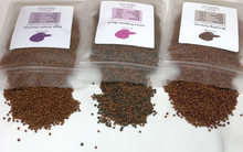 Load image into Gallery viewer, High Protein Fish Food, 40g