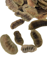 Load image into Gallery viewer, Senna Pods
