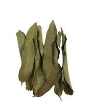 Load image into Gallery viewer, Mango Leaves