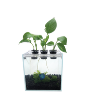 Load image into Gallery viewer, Planter Lid Expansion Kit