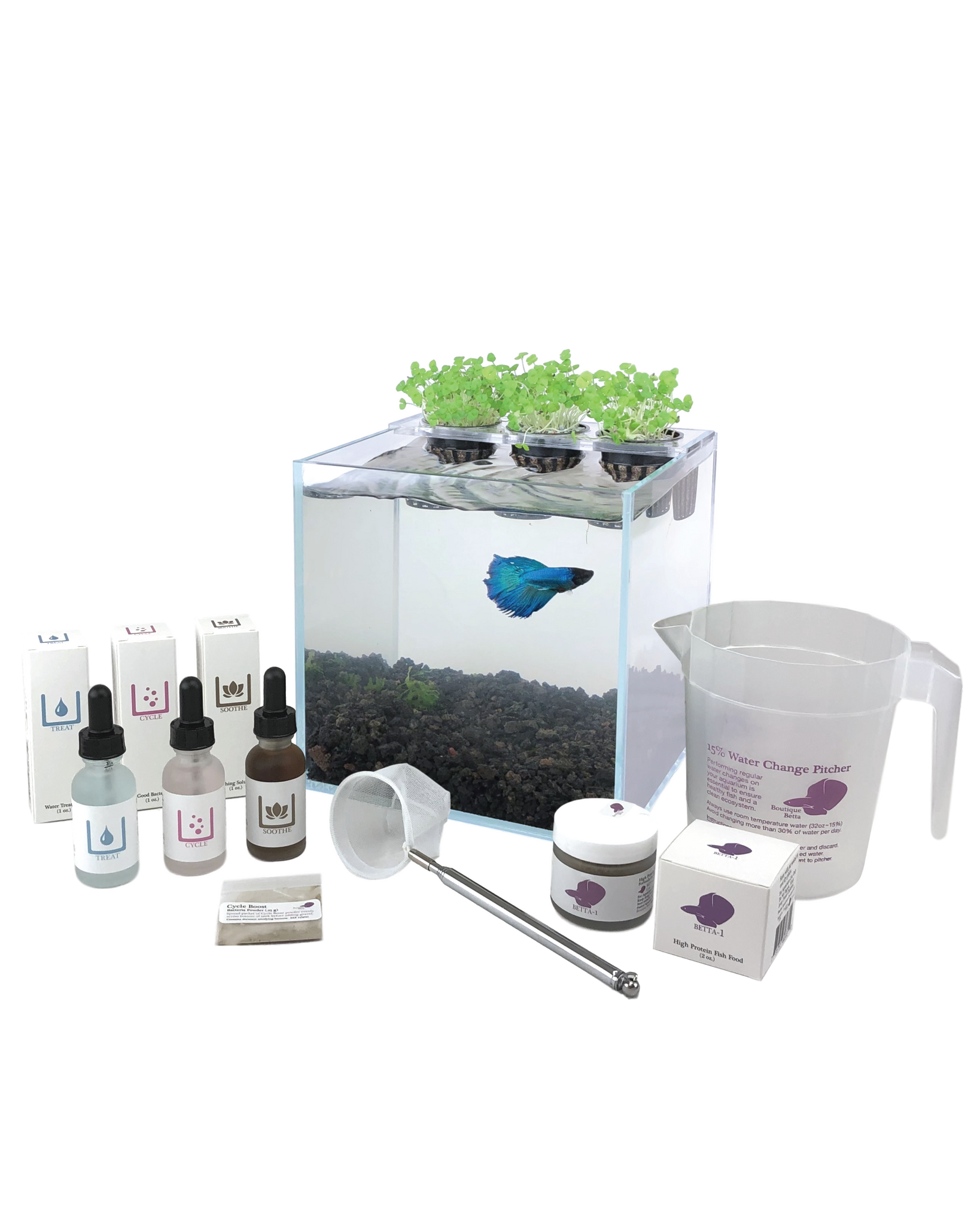 The Boutique Betta Planter Kit BoutiqueBetta