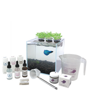 Load image into Gallery viewer, The Boutique Betta Planter Kit